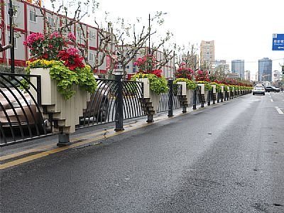 广丰区文化护栏